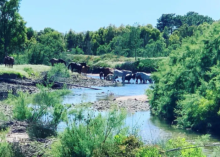 Bed and breakfast D'hotes Terra Bella Lecci