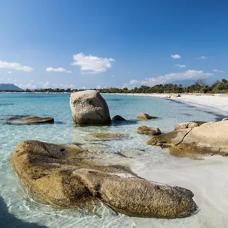 D'hotes Terra Bella Lecci