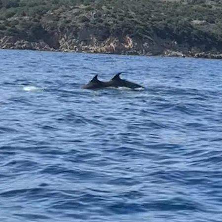 D'hotes Terra Bella Lecci Porto-Vecchio (Corsica)