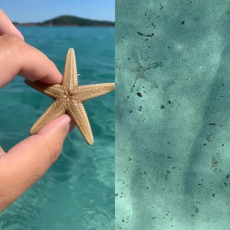 Oda ve Kahvaltı D'hotes Terra Bella Lecci 3*