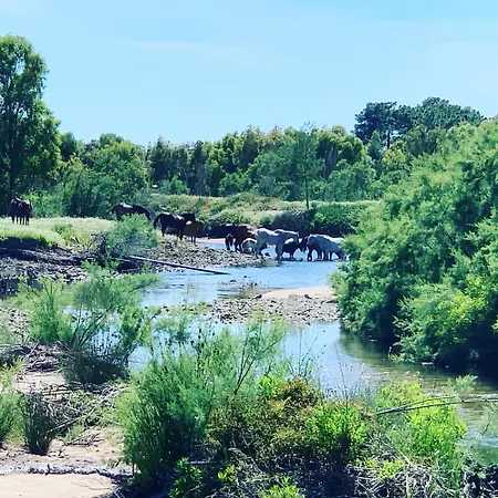 Couette-café Restaurant - D'hôtes Terra Bella Lecci