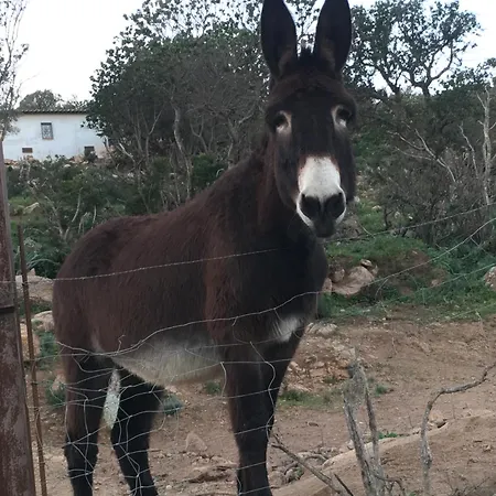 Bed & Breakfast D'hotes Terra Bella Lecci 3*