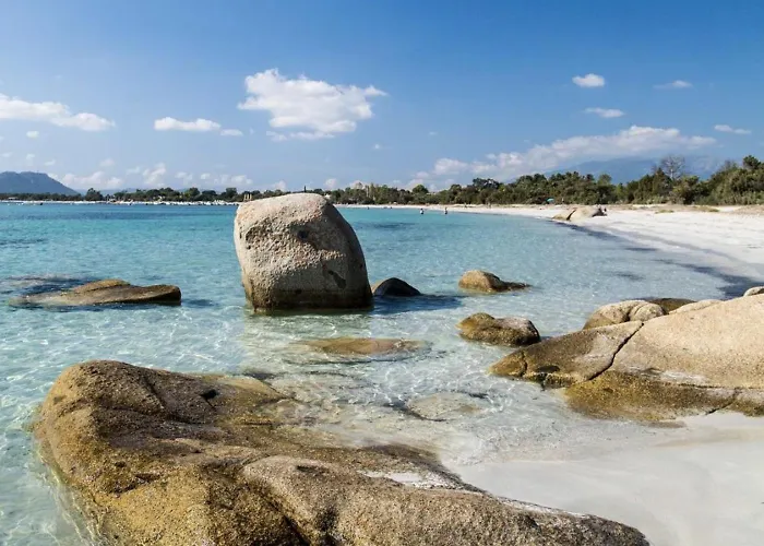 Restaurant - D'hôtes Terra Bella