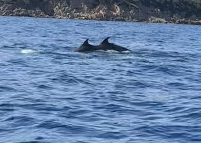 D'hotes Terra Bella Lecci