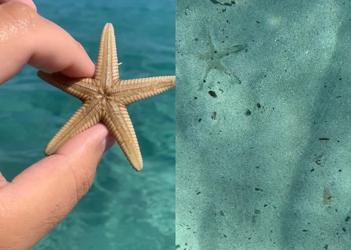 Bed & Breakfast D'hotes Terra Bella 3*