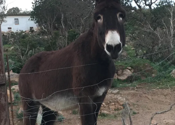 Couette-café Restaurant - D'hôtes Terra Bella 3*